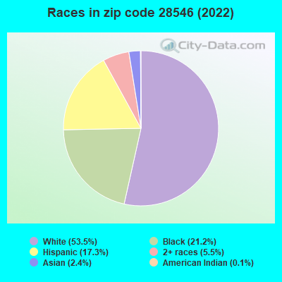 Races in zip code 28546 (2019)