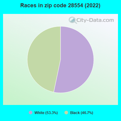 Races in zip code 28554 (2022)