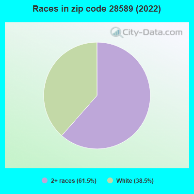 Races in zip code 28589 (2022)