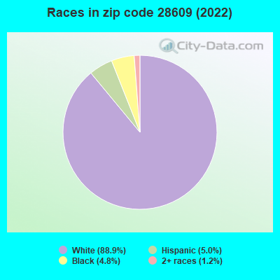 Races in zip code 28609 (2019)