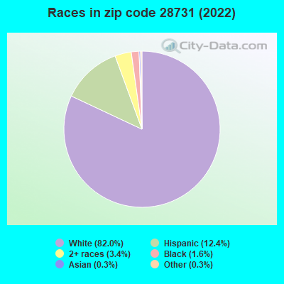 Races in zip code 28731 (2019)