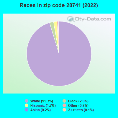 Races in zip code 28741 (2021)