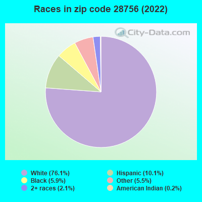 Races in zip code 28756 (2019)