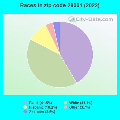 Races in zip code 29001 (2019)