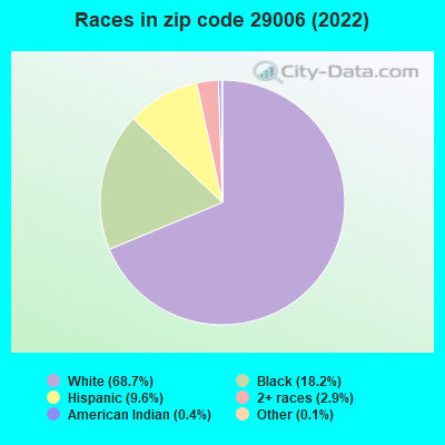Races in zip code 29006 (2019)