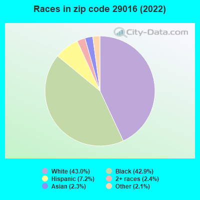 Races in zip code 29016 (2022)