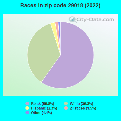 Races in zip code 29018 (2019)