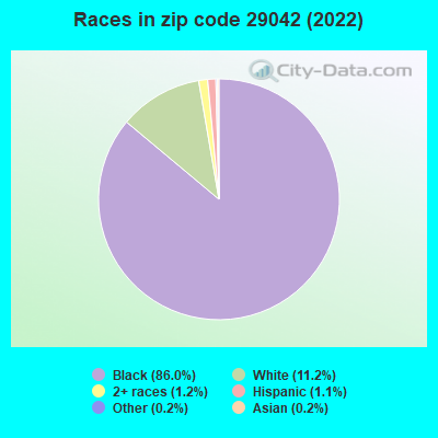 Races in zip code 29042 (2019)