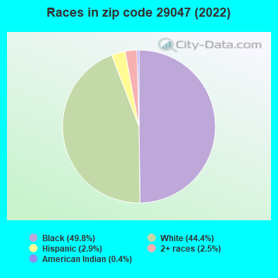 Races in zip code 29047 (2022)