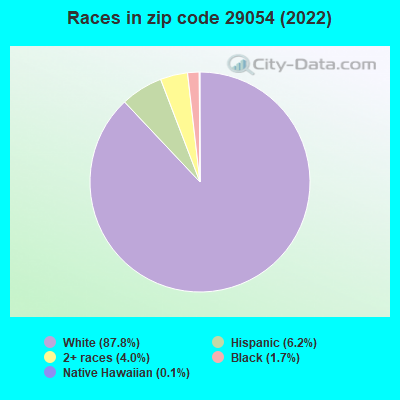 Races in zip code 29054 (2019)