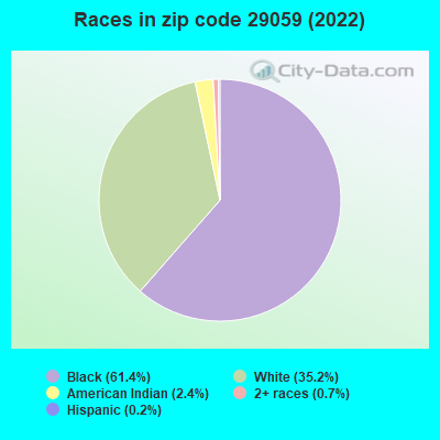 Races in zip code 29059 (2021)