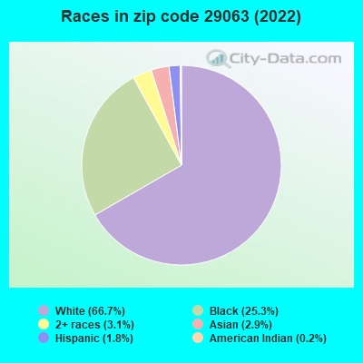 Races in zip code 29063 (2022)