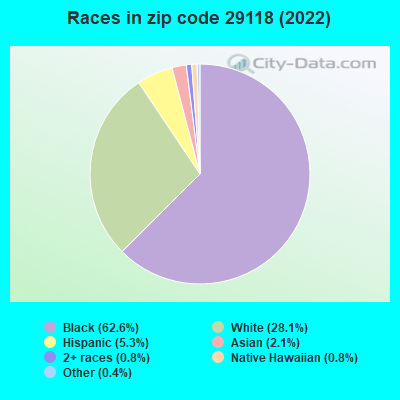 Races in zip code 29118 (2019)
