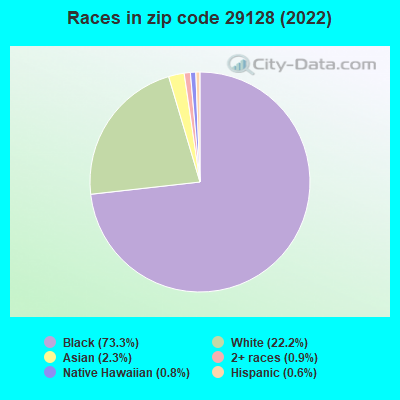 Races in zip code 29128 (2019)