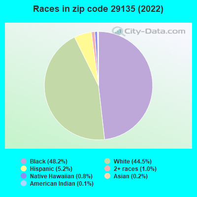Races in zip code 29135 (2021)