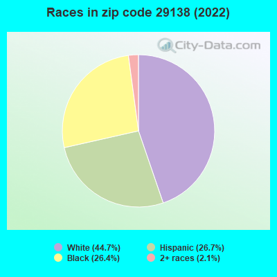 Races in zip code 29138 (2019)