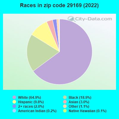 Races in zip code 29169 (2019)