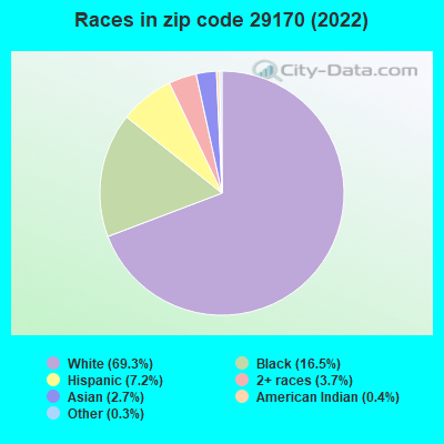 Races in zip code 29170 (2022)