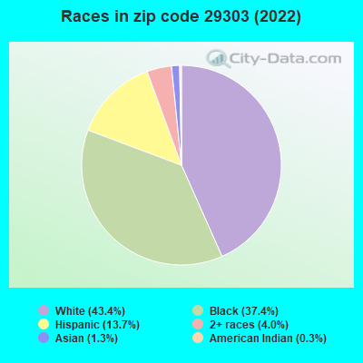 Races in zip code 29303 (2022)