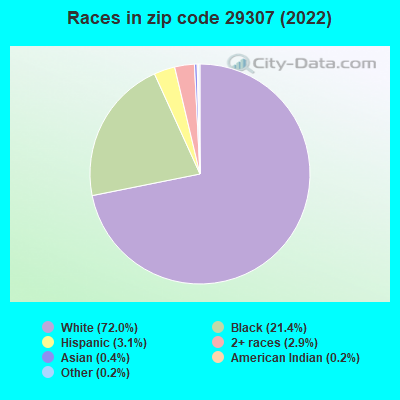 Races in zip code 29307 (2019)