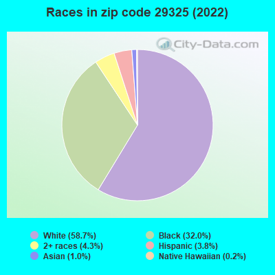 Races in zip code 29325 (2019)