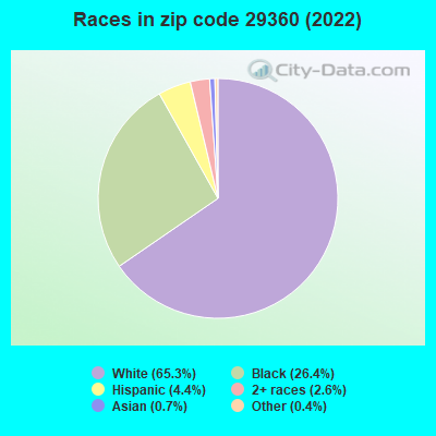 Races in zip code 29360 (2019)