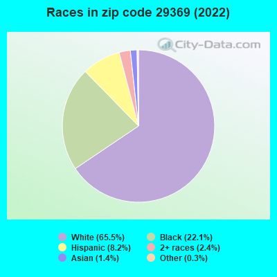 Races in zip code 29369 (2022)