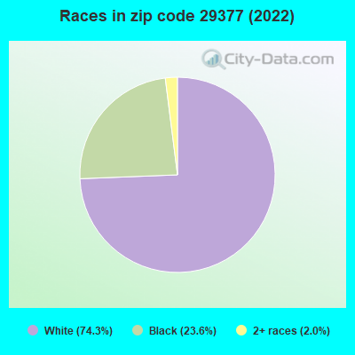 Races in zip code 29377 (2019)