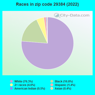 Races in zip code 29384 (2019)