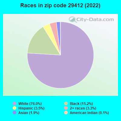 Races in zip code 29412 (2019)