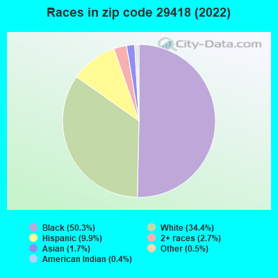 Races in zip code 29418 (2019)