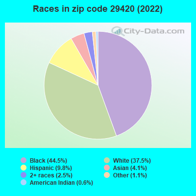 Races in zip code 29420 (2019)
