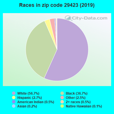 Races in zip code 29423 (2019)