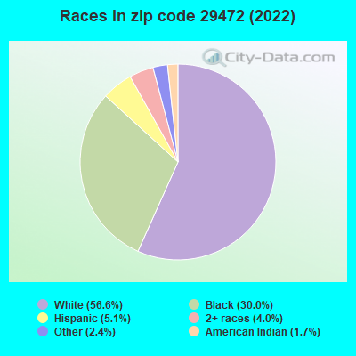 Races in zip code 29472 (2022)