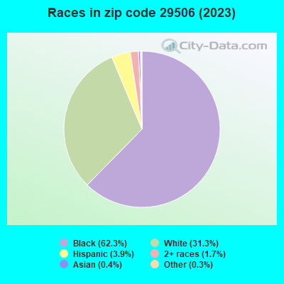 Races in zip code 29506 (2022)