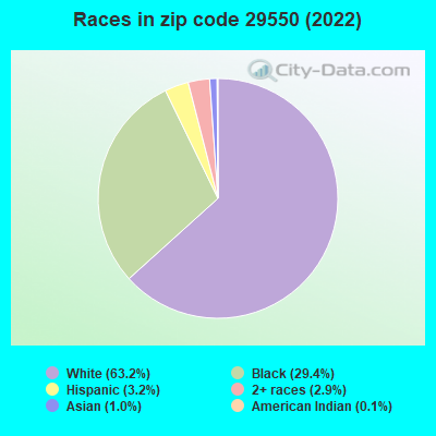 Races in zip code 29550 (2021)