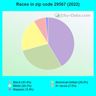 Races in zip code 29567 (2022)