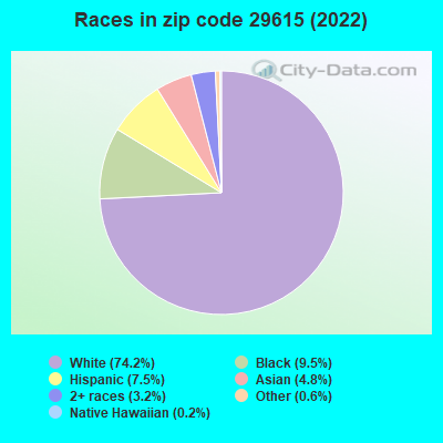 Races in zip code 29615 (2019)