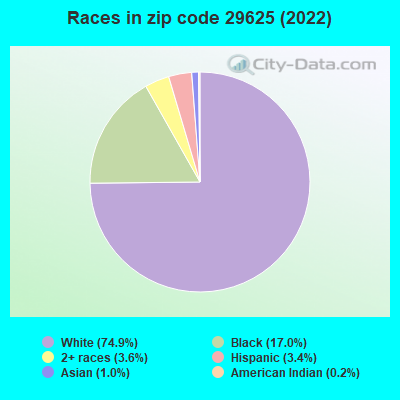 Races in zip code 29625 (2019)