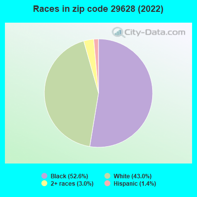Races in zip code 29628 (2022)