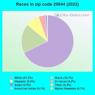 Races in zip code 29644 (2019)