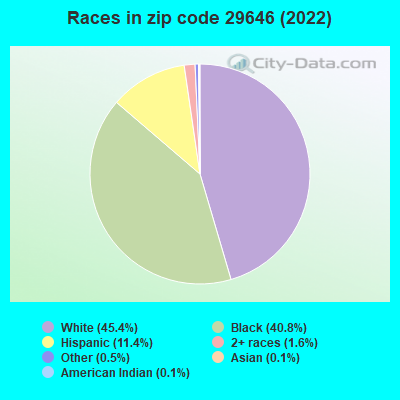 Races in zip code 29646 (2019)