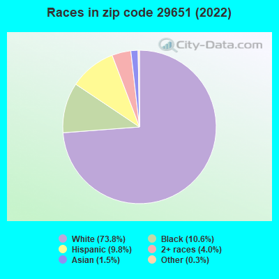 Races in zip code 29651 (2021)