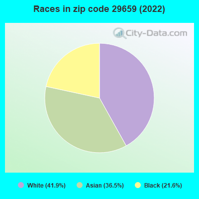 Races in zip code 29659 (2022)