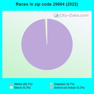 Races in zip code 29664 (2022)
