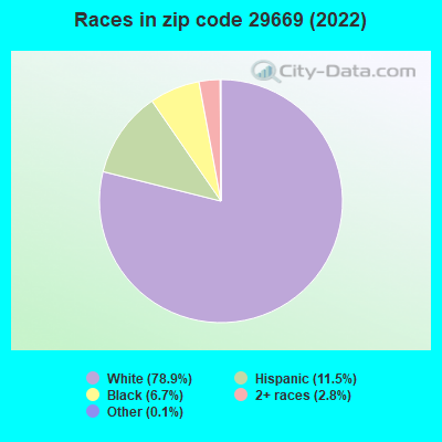 Races in zip code 29669 (2019)