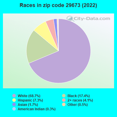 Races in zip code 29673 (2021)