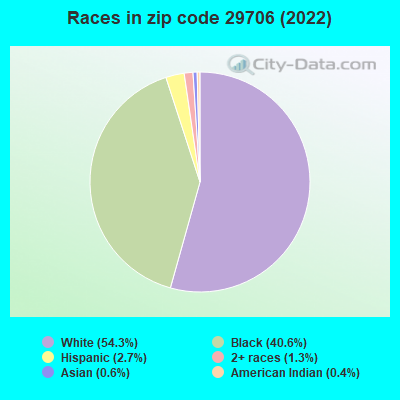 Races in zip code 29706 (2022)