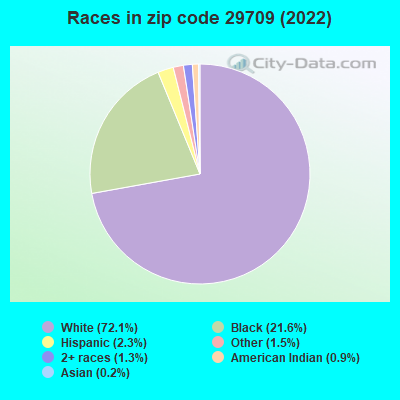 Races in zip code 29709 (2022)