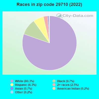 Races in zip code 29710 (2019)